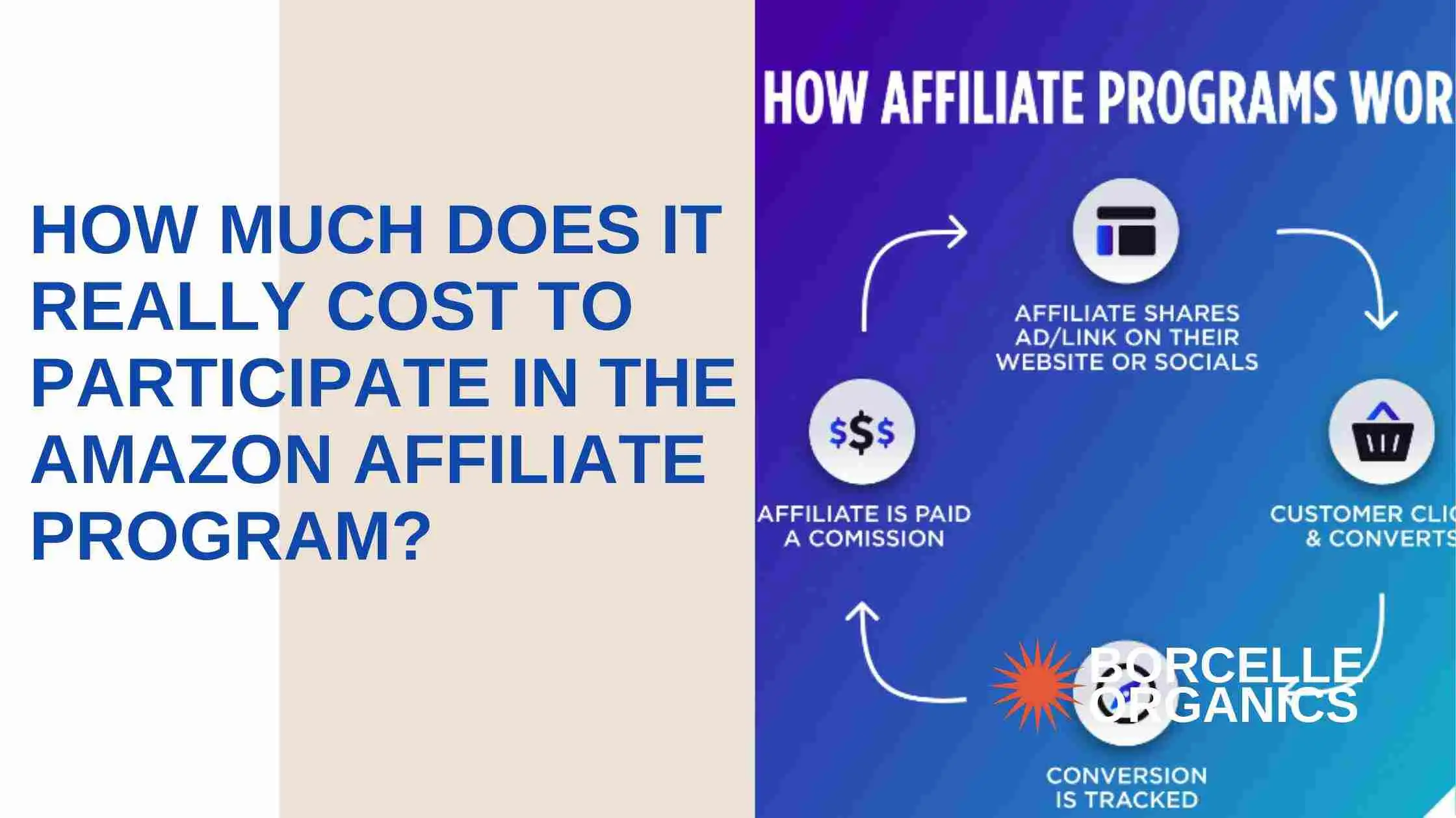 How Much Does It Really Cost to Participate in the Amazon Affiliate Program?