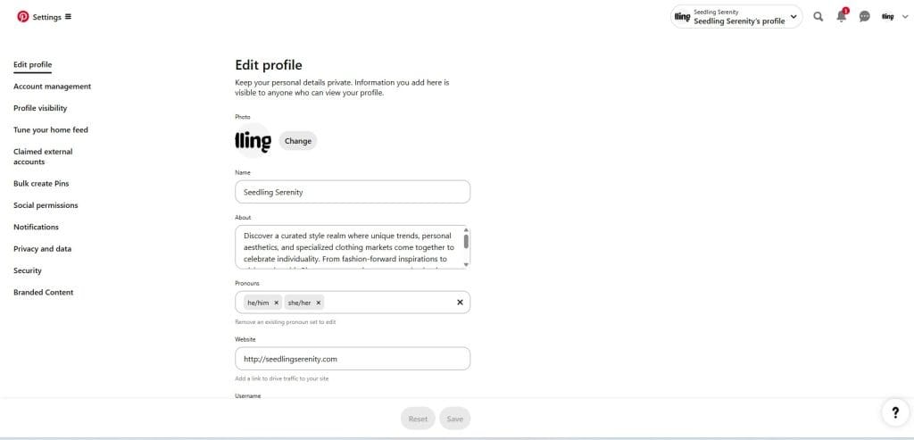 Setting Up Your Pinterest Business Account