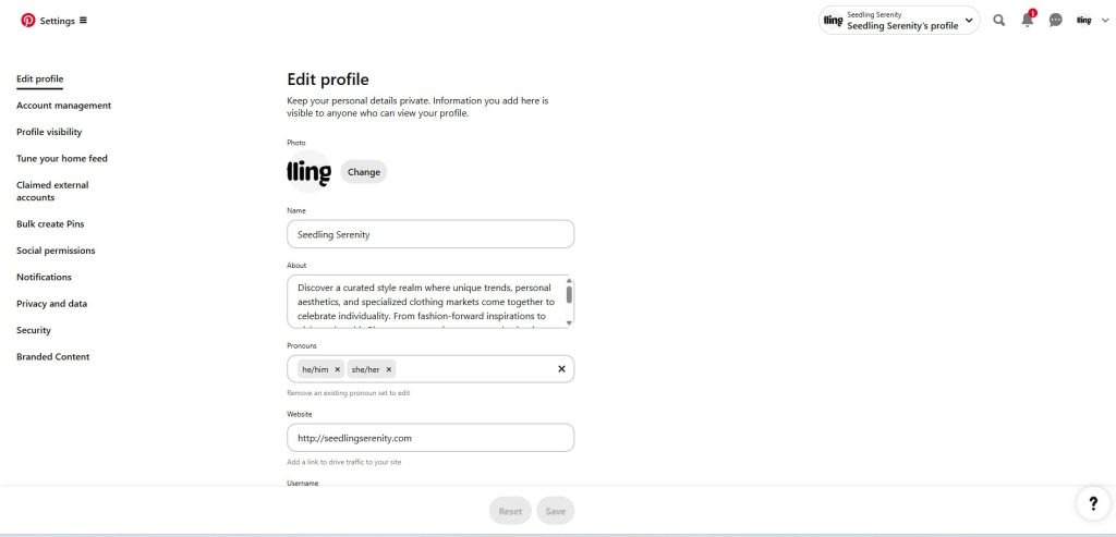 Setting Up Your Pinterest Business Account